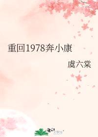 重回1978奔小康